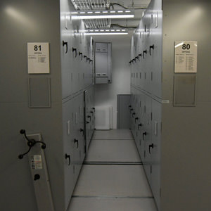 8/11 Sub-corridors 80 and 81 in the fly corridor in London's Natural History Museum