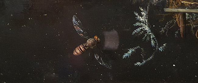 Jan Van Huysum, 1718, Still Life with Bird's Nest
