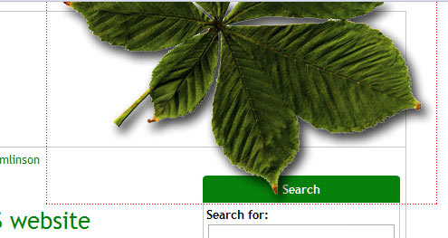 The 2010 chestnut leaf overlay