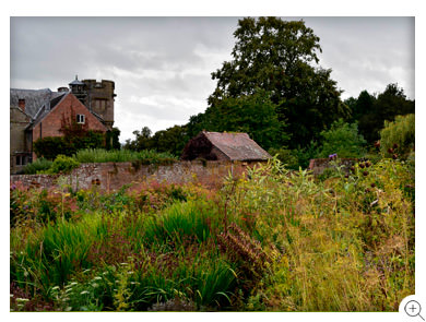 6/12 A corner of the gardens at Croft Castle