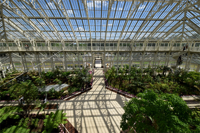 8/11 Kew's Temperate House
