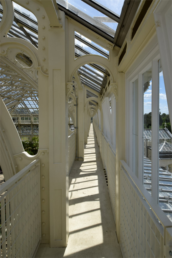 10/11 Kew's Temperate House